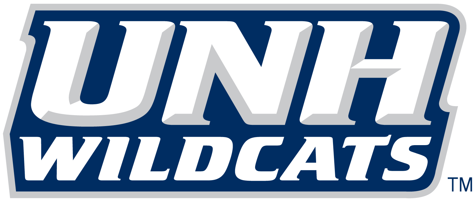 New Hampshire Wildcats 2000-Pres Wordmark Logo v4 DIY iron on transfer (heat transfer)